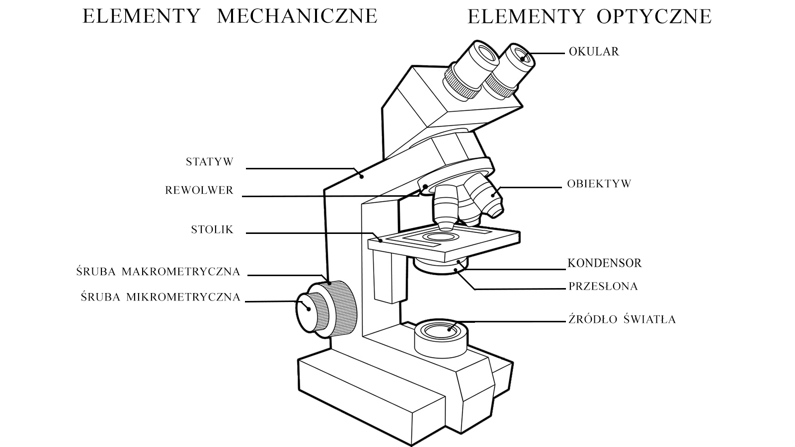 Schemat mikroskopu