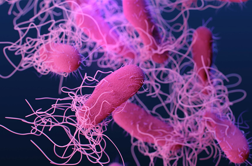 Obraz bakterii o zachwycających kształtach