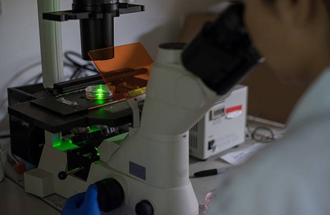 Czym jest mikroskop fluorescencyjny