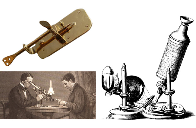 Historia powstania mikroskopu
