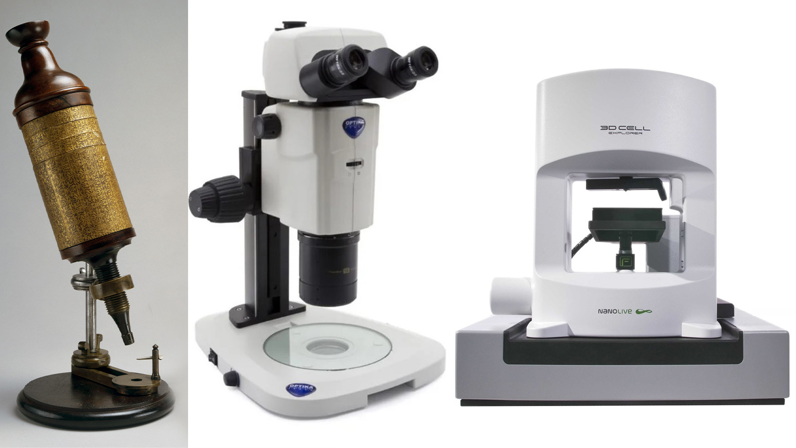 Różne typ mikroskopów