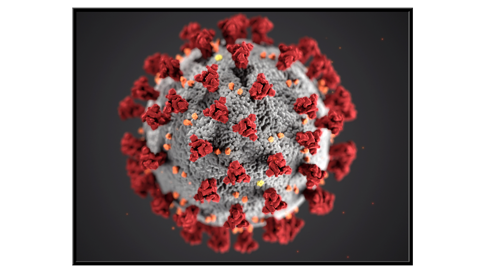 Model wirusa SARS-CoV-2