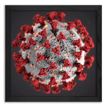 SARS-CoV-2 virus model