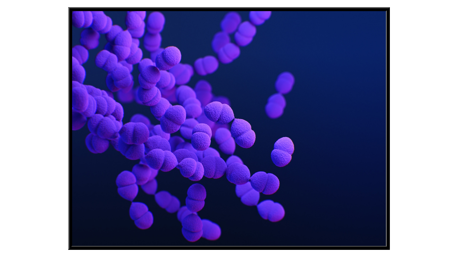 Model bakteri Streptococcus Pneumoniae