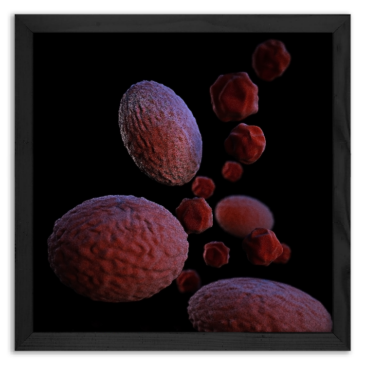 Chlamydia Psittaci bacteria