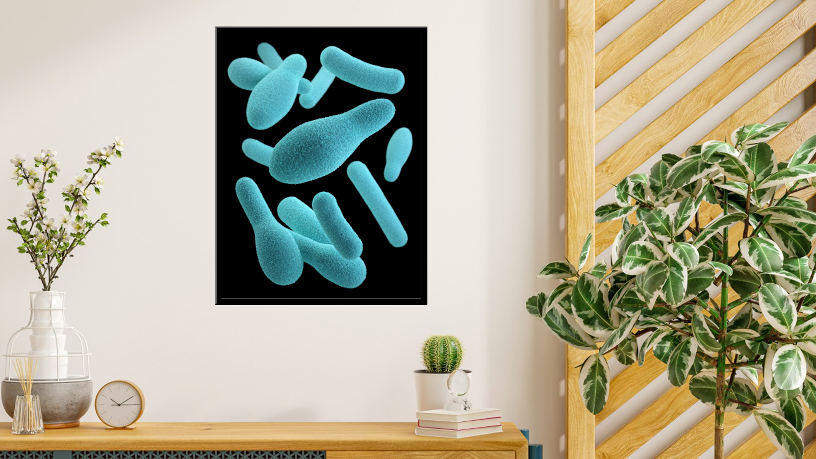 Club-shaped bacteria