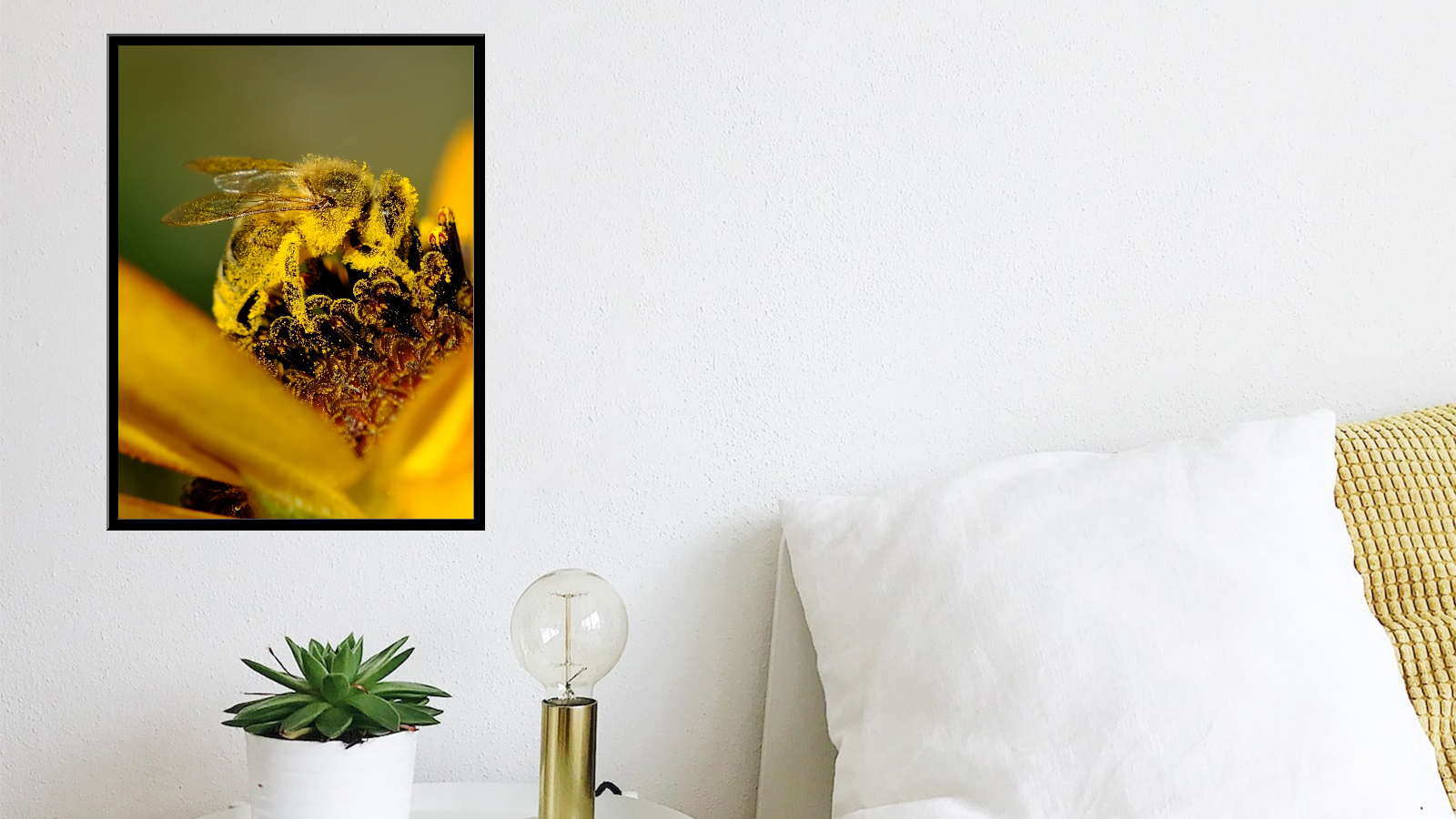 Pszczoła miodna cała w pyłku