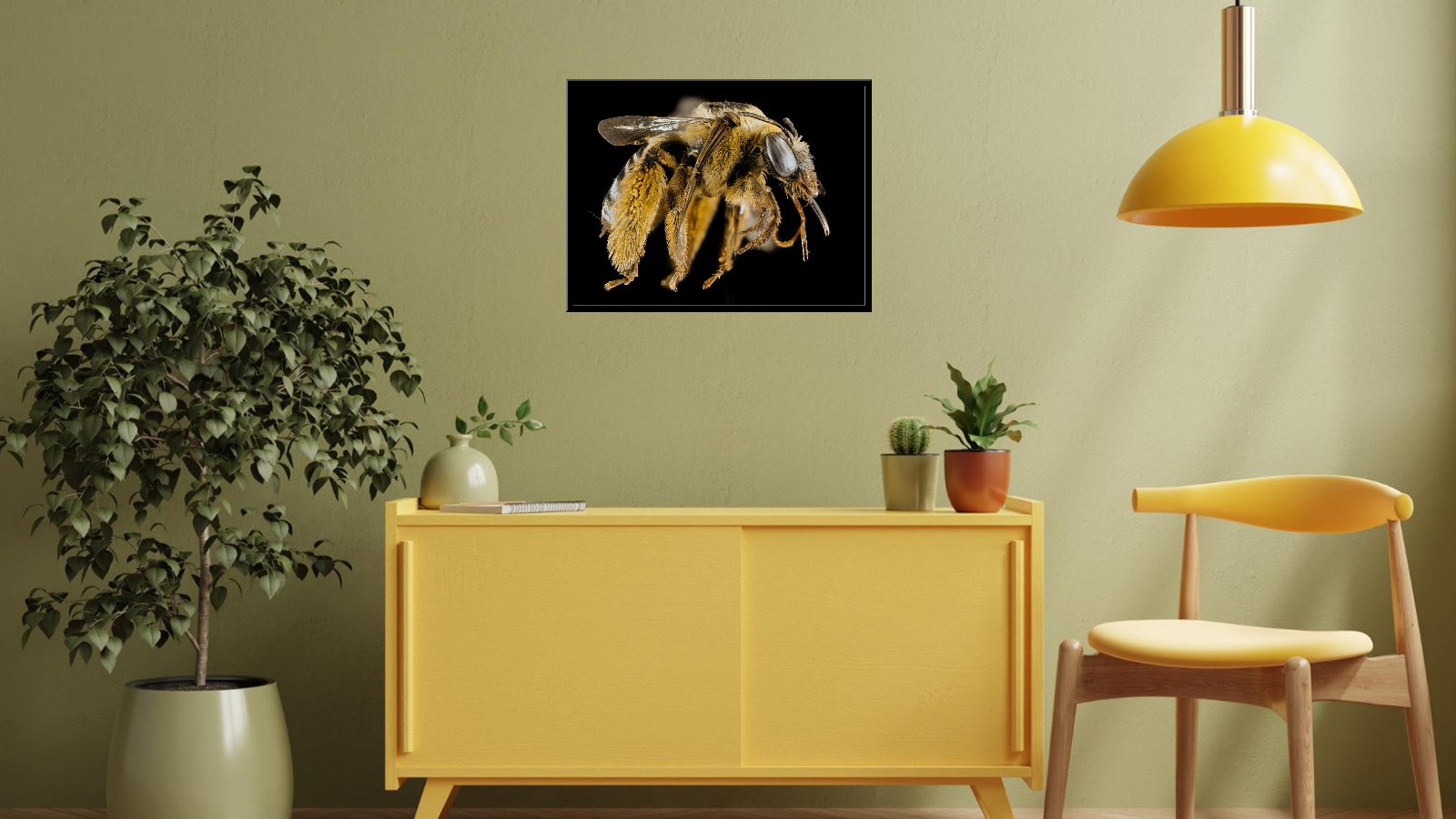 Large Bee from Svastra Family