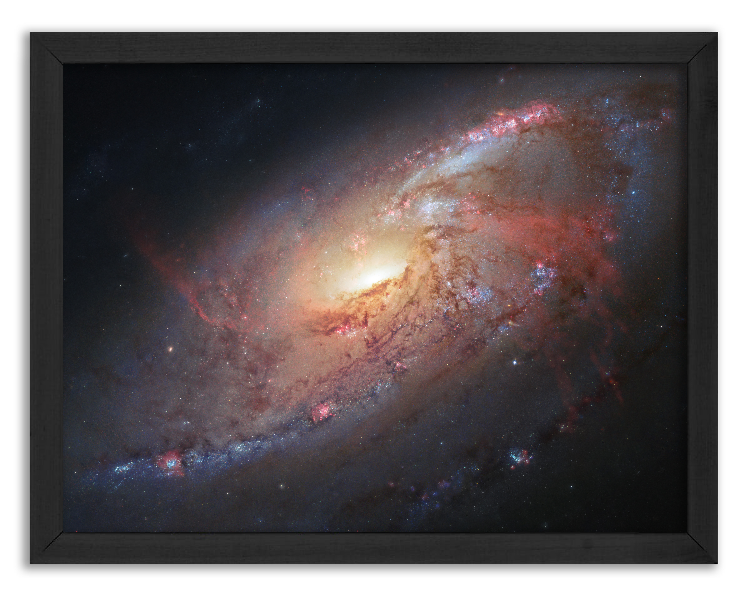 Galaxy M106