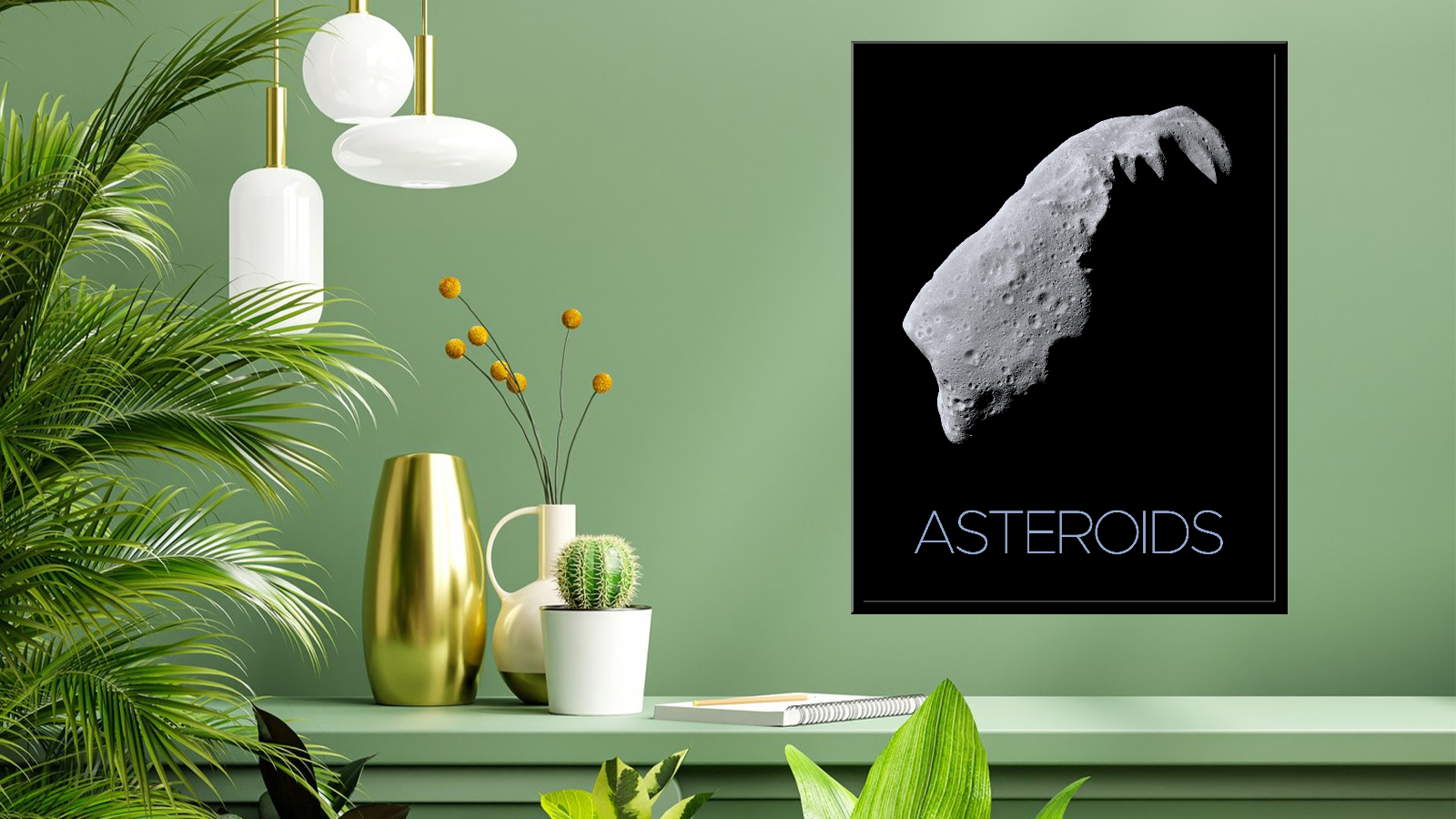 Asteroid 243 Ida 