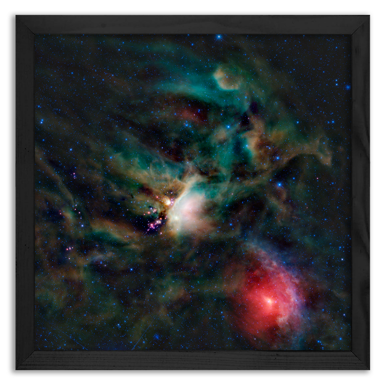 The Rho Ophiuchi cloud