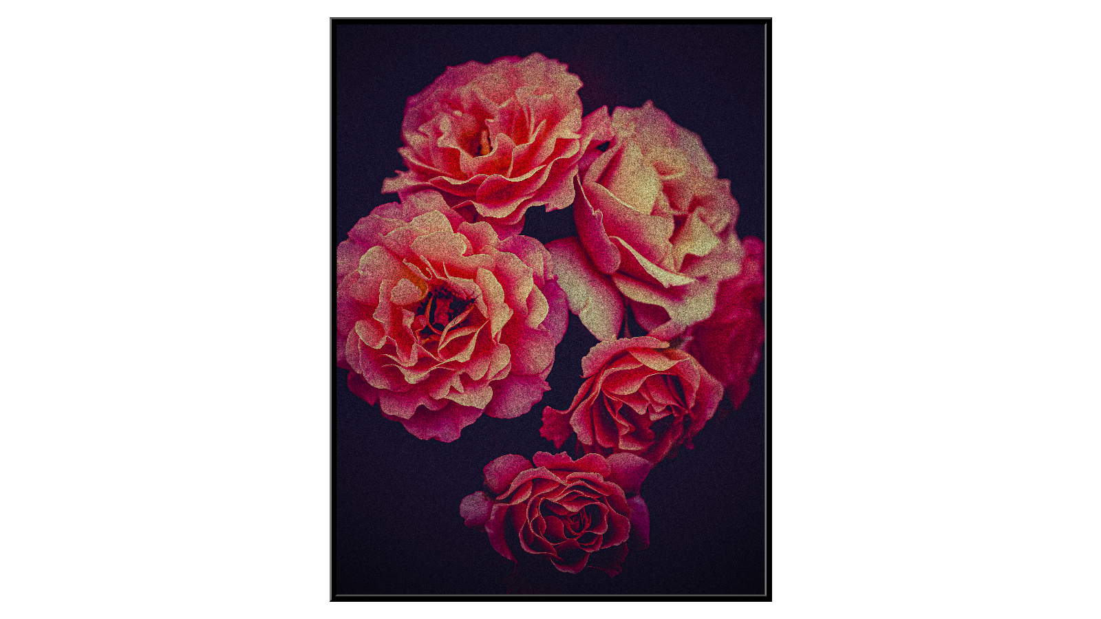 Mały bukiet róż