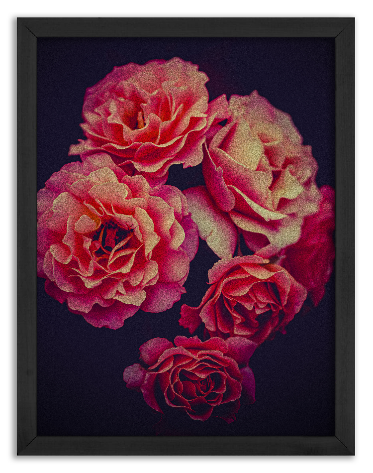 Mały bukiet róż